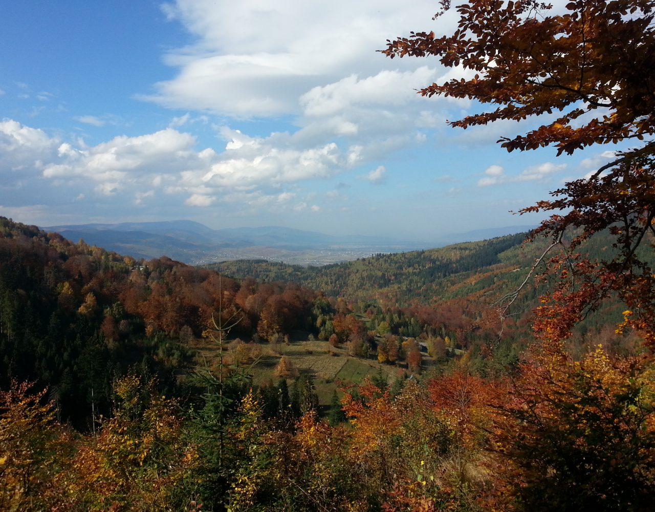 Ficońka widok na kotlinę żywiecką