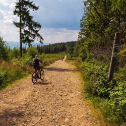 Jazda rowerem górskim po szlakach Beskidu Śląskiego
